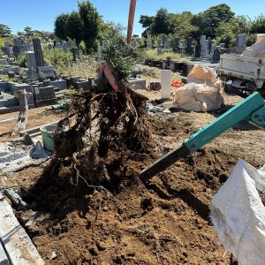 八柱霊園の木の除去