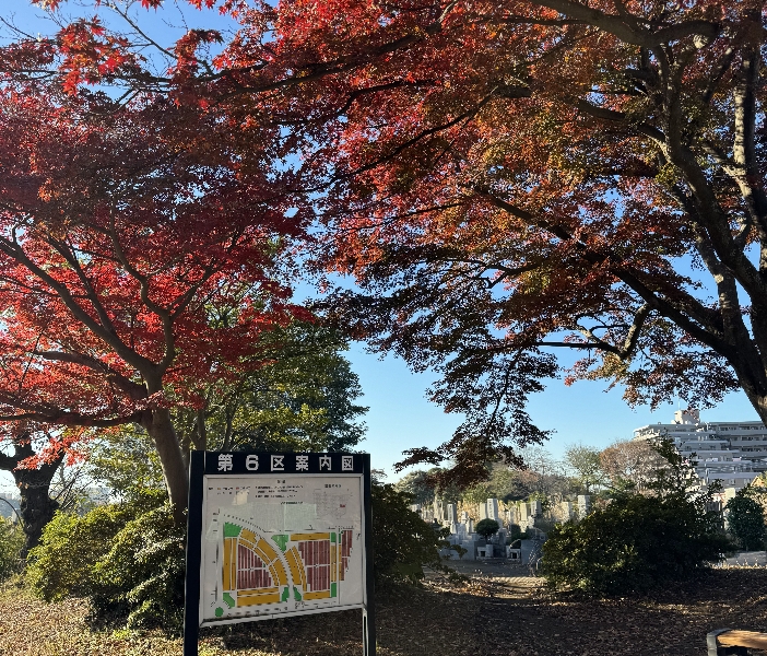 八柱霊園の紅葉について