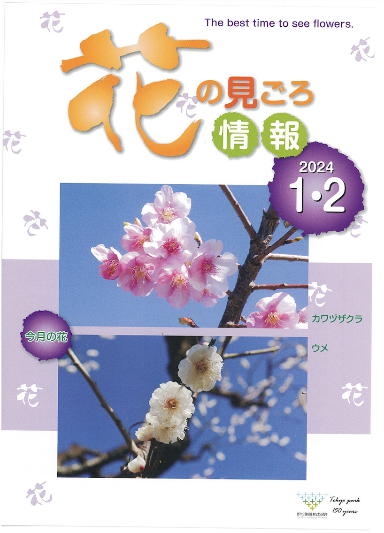 八柱霊園に咲く美しく花【1月2月】